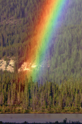 arcobaleno 45 lista